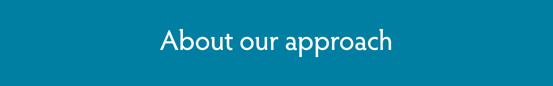 Blue rectangle with text that says "About our approach"